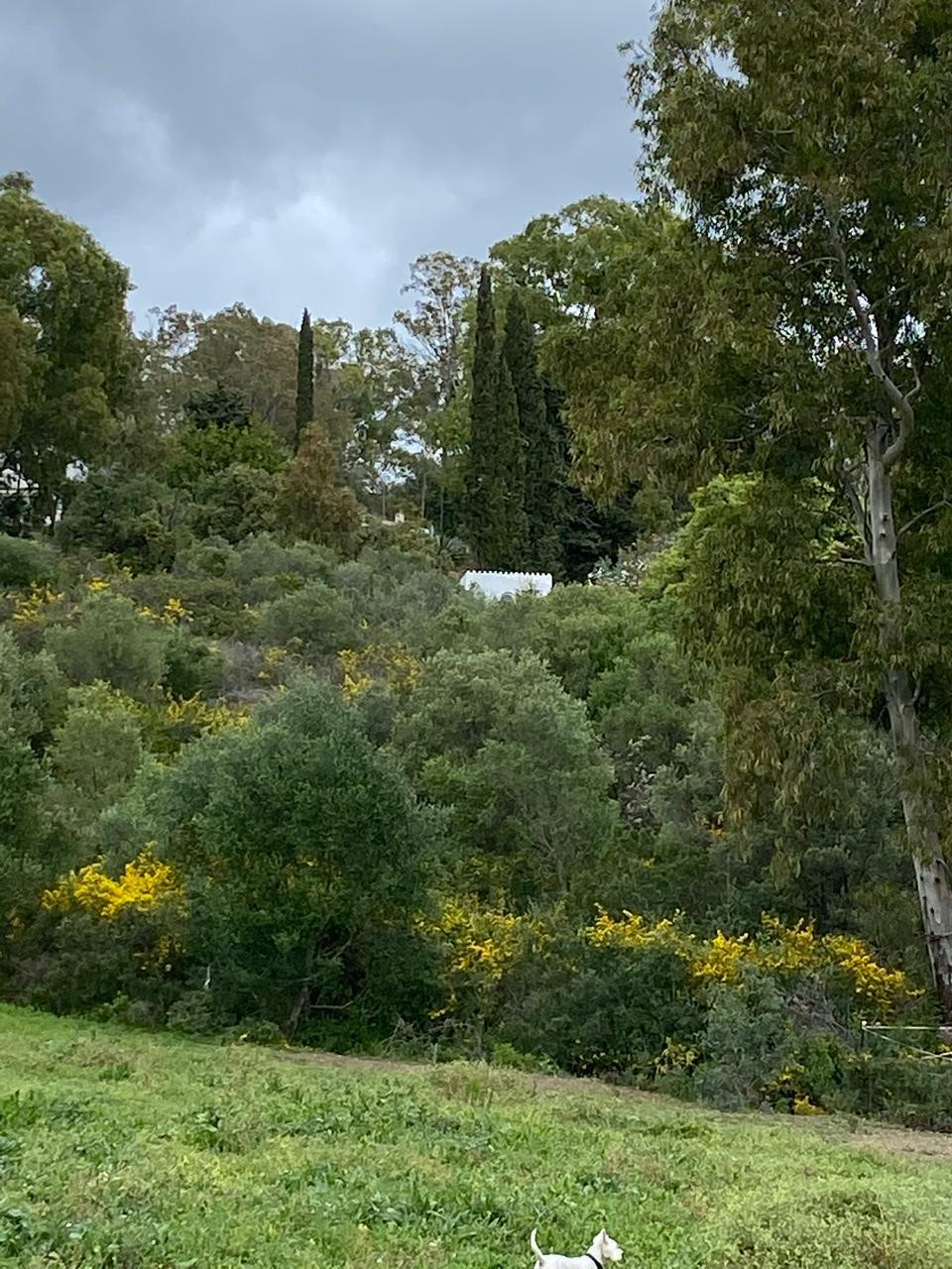 B98Le8~d7M9k3DegpEFZhS0lI_F8U4XZVz~HWxt~mGgYekxX9nCAxh0ZipZlAjNxEM6s1ur~IyRoHk21zVXx39XWT2D9Fp8z37av4s2T6KdWvtCa5wKQpGhlIWsmkjcwQpifKVALpVUviNJVSy9S