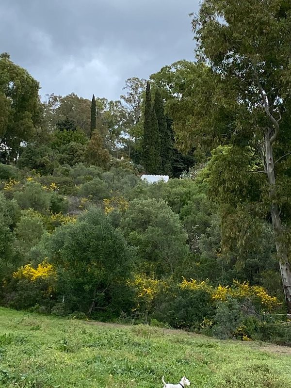 B98Le8~d7M9k3DegpEFZhS0lI_F8U4XZVz~HWxt~mGgYekxX9nCAxh0ZipZlAjNxEM6s1ur~IyRoHk21zVXx39XWT2D9Fp8z37av4s2T6KdWvtCa5wKQpGhlIWsmkjcwQpifKVALpVUviNJVSy9S